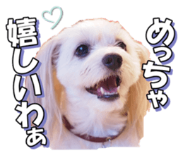 taratarafan2 sticker #14462654