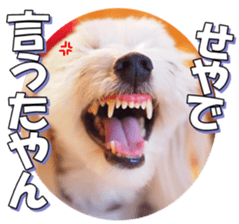 taratarafan2 sticker #14462655