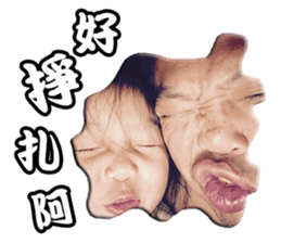 Pang-Pang and Ying-Ying sticker #14463566