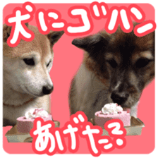 Chiroru& momo01 sticker #14464969