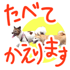 Chiroru& momo01 sticker #14464975