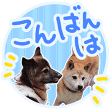 Chiroru& momo01 sticker #14464978
