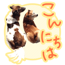 Chiroru& momo01 sticker #14464979