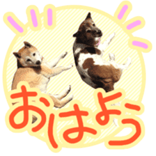 Chiroru& momo01 sticker #14464980