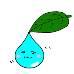 Drip from a leaf Shizuku chan