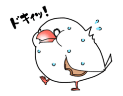 Java sparrow animation sticker #14465552