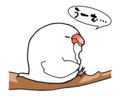 Java sparrow animation sticker #14465558