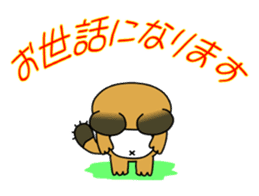 Raccoon dog and his friends 3 sticker #14466765