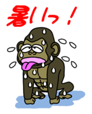 Raccoon dog and his friends 3 sticker #14466770