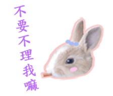 Lovely rabbit Alice sticker #14468112