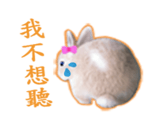 Lovely rabbit Alice sticker #14468113
