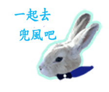 Lovely rabbit Alice sticker #14468115