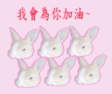 Lovely rabbit Alice sticker #14468117
