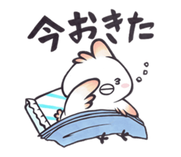 Tosakadori2 sticker #14468816