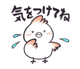 Tosakadori2 sticker #14468827