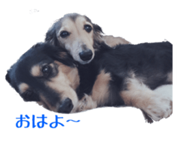 cosuyuzu sticker2 sticker #14468871