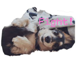 cosuyuzu sticker2 sticker #14468873