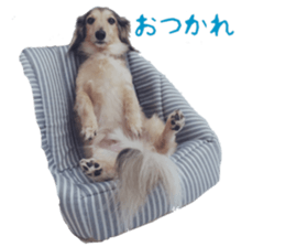 cosuyuzu sticker2 sticker #14468874