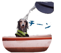 cosuyuzu sticker2 sticker #14468875