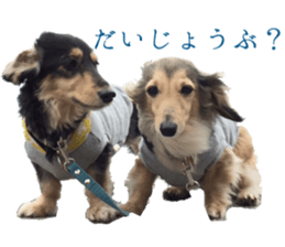 cosuyuzu sticker2 sticker #14468876