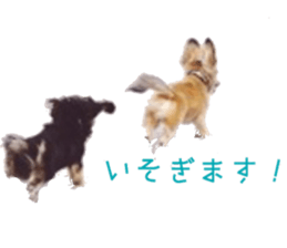 cosuyuzu sticker2 sticker #14468877