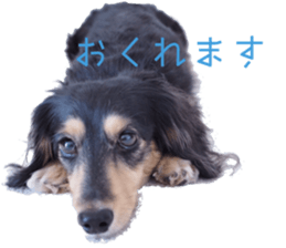 cosuyuzu sticker2 sticker #14468878