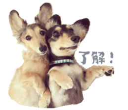 cosuyuzu sticker2 sticker #14468879