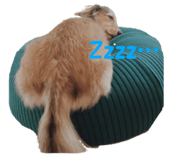 cosuyuzu sticker2 sticker #14468880