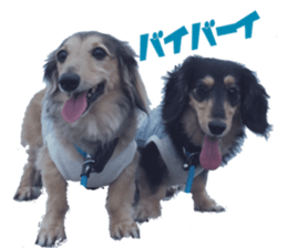 cosuyuzu sticker2 sticker #14468881