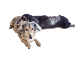 cosuyuzu sticker2 sticker #14468882