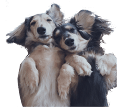 cosuyuzu sticker2 sticker #14468885