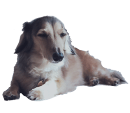 cosuyuzu sticker2 sticker #14468886