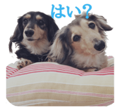 cosuyuzu sticker2 sticker #14468887