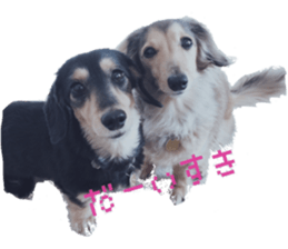 cosuyuzu sticker2 sticker #14468888