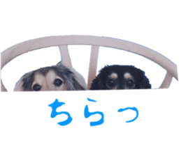 cosuyuzu sticker2 sticker #14468890