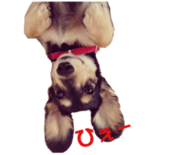 cosuyuzu sticker2 sticker #14468891