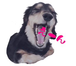 cosuyuzu sticker2 sticker #14468892