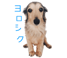 cosuyuzu sticker2 sticker #14468893