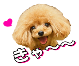 fanchocorin3 sticker #14469166