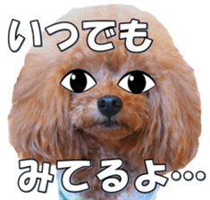 fanchocorin3 sticker #14469169