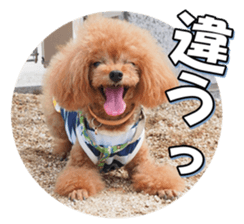 fanchocorin3 sticker #14469174