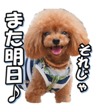 fanchocorin3 sticker #14469175