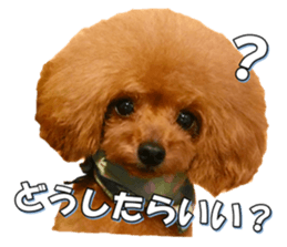 fanchocorin3 sticker #14469177