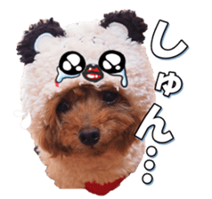 fanchocorin3 sticker #14469178