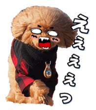 fanchocorin3 sticker #14469179