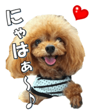 fanchocorin3 sticker #14469180