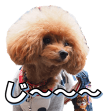 fanchocorin3 sticker #14469186