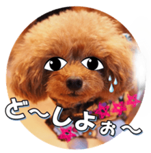 fanchocorin3 sticker #14469188