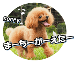 fanchocorin3 sticker #14469189