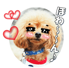 fanchocorin3 sticker #14469190